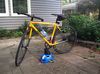 Ole Yella photo