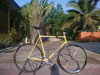 OLMO 58cm GOHEK! photo