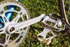 Olmo Olimpic Campagnolo Pista photo