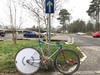 Olmo pista pursuit photo