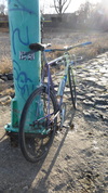 Olmo Singlespeed photo