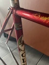 Olmo track (for sale) photo