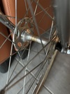 Olmo track (for sale) photo