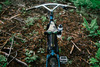 On-One Inbred 29er photo