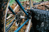 On-One Inbred 29er photo