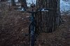 On-One Inbred 29er photo