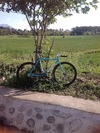 One less roadie...Maldea photo
