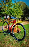 Orange 29er photo