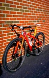 Orange 29er photo