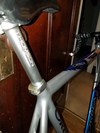 Orbea Lobular Altec Pista photo