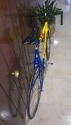 Orbea lobular pista photo