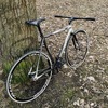 Orbea Lobular Pista / Storck photo