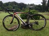 Orbea Orca Bronze photo