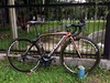 Orbea Orca Bronze photo