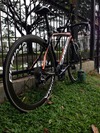 Orbea Orca Bronze photo