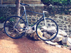 Ordinary Bike - Amoreciego photo