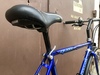 Panasonic CB-2000 blue photo