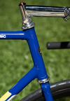 Panasonic FP28 njs team colours photo