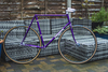 Panasonic NJS - 57cm - Purple photo