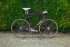 Panasonic NJS - 57cm - Purple photo