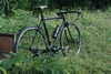 Panasonic Retro Modern Road Bike photo