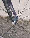 Parallax (the final one) photo