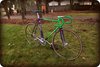 Purple/Green Basso Pista SOLD photo