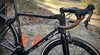 Parlee Altum photo Parlee Altum photo
