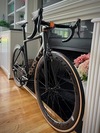 Parlee Altum photo Parlee Altum photo