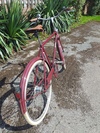 Pashley Briton photo