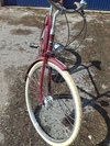 Pashley Briton photo