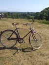 Pashley Briton photo