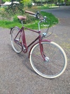 Pashley Briton photo