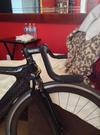 Pedal Force TR18 Carbon "Tarck" Bike photo