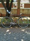 2011 Pias Agra photo