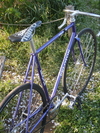 Peloton photo