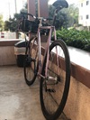 Peloton Commuter photo