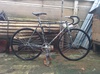 Peloton lugless 2002 NJS photo