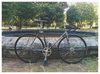 Peloton lugless 2002 NJS photo