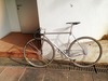 Peloton NjS Mach Silver photo