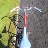 Peugeot Single Speed Porteur photo
