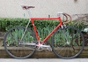 Phil Barge Pista SC photo