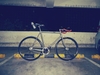 PIAS Cycles photo