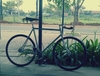 PIAS Cycles photo