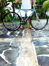 PIAS 2012 Spearmint Green photo