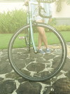 PIAS 2012 Spearmint Green photo