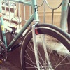 PIAS 2012 ( Sumvelo x cyclonesia ) photo