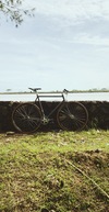 2011 PIAS AGRA / GOOD GREY photo