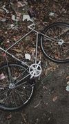 2011 PIAS AGRA / GOOD GREY photo