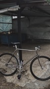 2011 PIAS AGRA / GOOD GREY photo